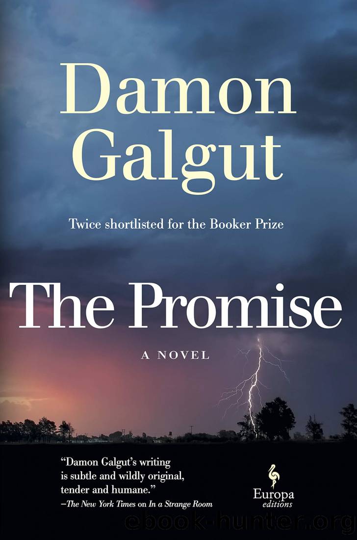 book review the promise by damon galgut